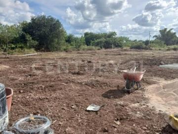 Terreno rústico en esquina 1,244 m² | Uso de suelo mixto | Norte de Mérida