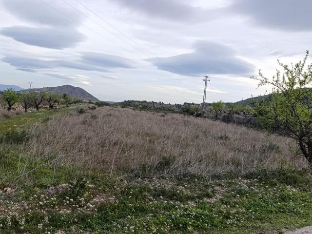 Terreno Rústico en Hondon de las Nieves Zona BAYON
