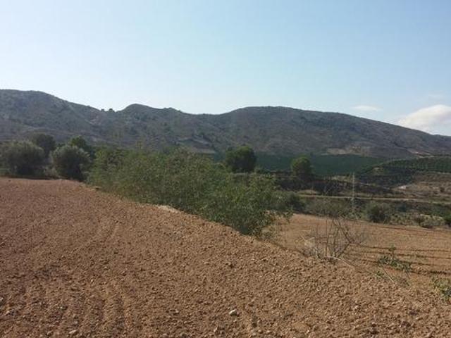 TERRENO RUSTICO EN ORIHUELA TOTALMENTE VALLADO CON NAVE
