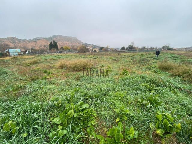 Terreno rústico en la Mejana de Tudela