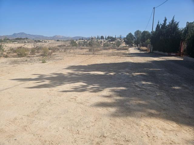 TERRENO RÚSTICO EN MOLINA DE SEGURA