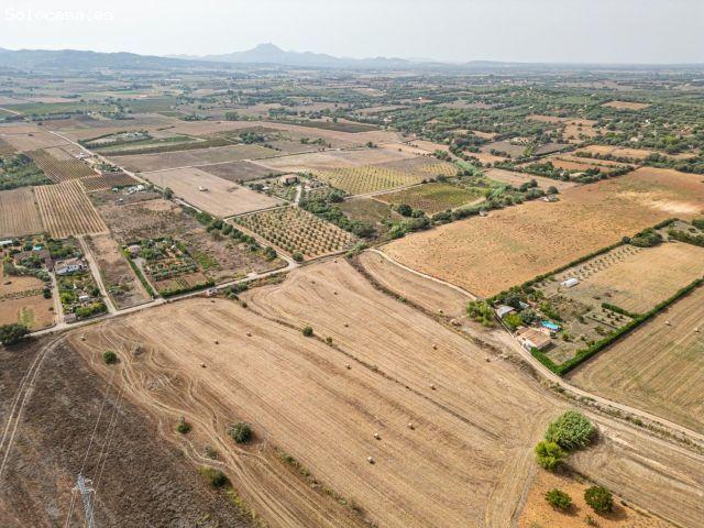Terreno rústico en Manacor con amplia superficie, entorno natural, proximidad al centro y fácil acce