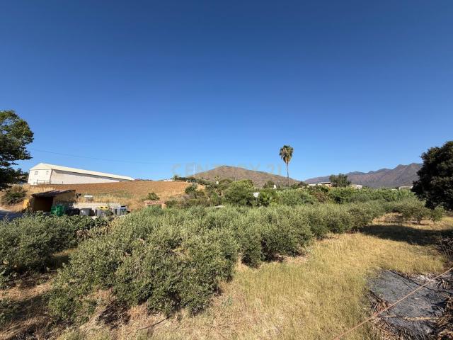 Terreno rústico en Mijas, Málaga Ideal para tu proyecto