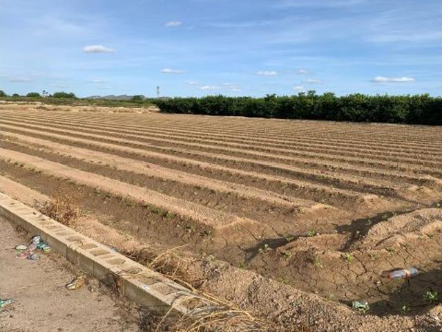 TERRENO RUSTICO EN SANTA CRUZ MURCIA