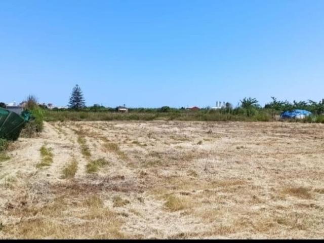 TERRENO RUSTICO EN PARTIDA DE RAFAL