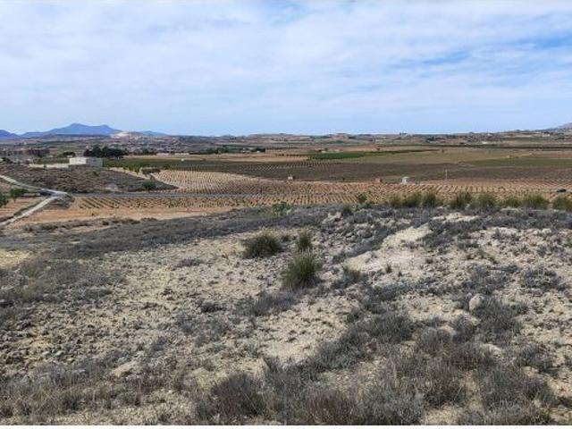 Terreno Rústico en Pinoso Oportunidad Única de Inversión