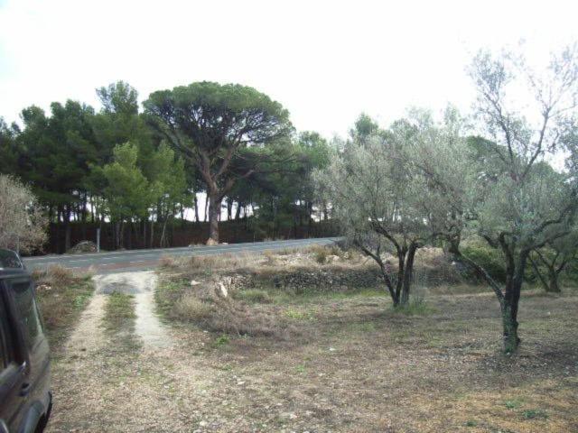 Terreno Rústico en venta