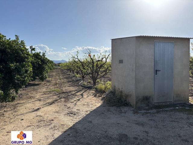 Terreno Rústico en Venta – 6 Ánegadas Cultivables con Riego por Goteo y Casita de Aperos