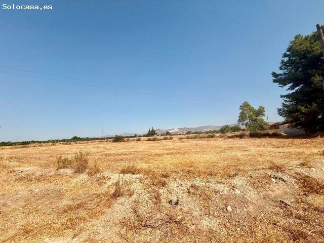 TERRENO RÚSTICO EN VENTA A TAN SOLO 10 MINUTOS DE ORIHUELA CON AGUA Y LUZ DE 15.232M2 ¡VISÍTELO AH