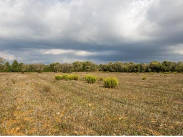 Terreno Rústico en Venta en Campos, Islas Baleares