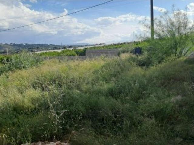 TERRENO RÚSTICO EN VENTA EN CANYADA DEL CORRAL – TORRENT