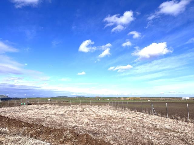 PARCELA RÚSTICA EN VENTA EN CARRETERA DE MENGABRIL