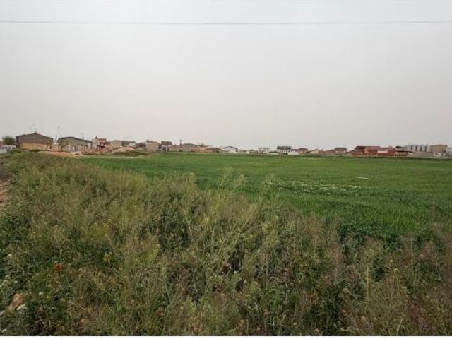 Terreno rústico en venta en Casas Ibáñez, Albacete