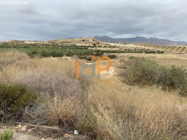 Terreno Rústico en Venta en Cuevas del Almanzora, Almería