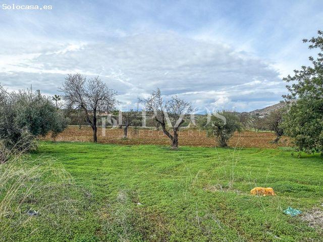 Terreno Rústico en Venta en Alhaurín de la Torre, Málaga