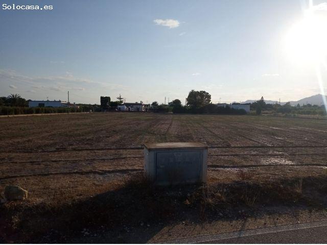 Terreno Rústico en Venta en Elche de la Sierra, Alicante