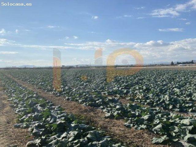 Terreno Rústico en Venta en Huercal Overa, Almería