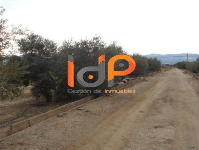 Terreno Rústico en Venta en Huercal Overa, Almería