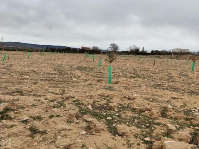 Terreno Rústico en Venta en Huertas de Villena, Alicante