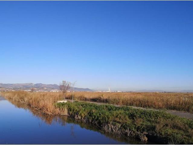 Terreno Rústico en Venta en La Llosa, Castellón