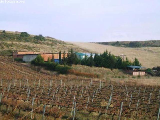 Terreno Rústico en Venta en Laguardia, Álava