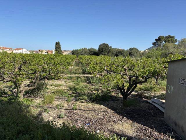 Terreno Rústico en Venta en Llanera de Ranes – 4 Ánegadas para Cultivo