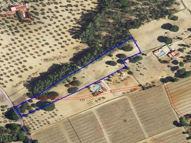 Terreno Rústico en Venta en Marchena, Sevilla