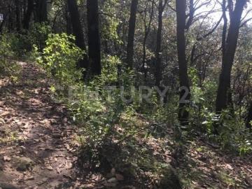 Terreno Rústico en Venta en San Jerónimo Zacapexco, Villa del Carbón, Mex