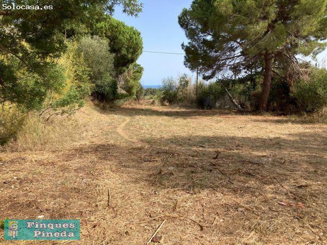 Terreno Rústico en Venta en Pineda de Mar, Barcelona
