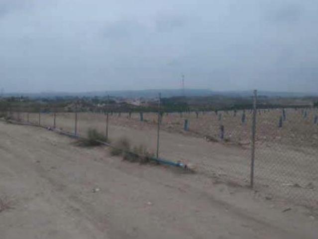 Terreno rústico en venta en Pre. de la Alabarda, Polígono 33, Molina De Segura, Murcia