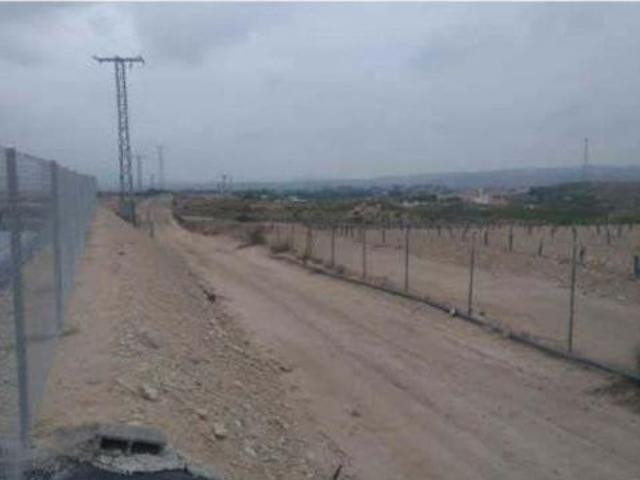 Terreno rústico en venta en Pre. de la Alabarda, Polígono 33, Molina De Segura, Murcia