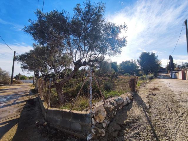 Terreno rústico en venta en Vilanova i la Geltrú, Mas Tapet