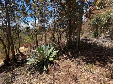 Terreno rústico en venta ideal para cabaña