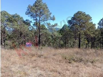 Terreno rustico en venta jesus del monte morelia