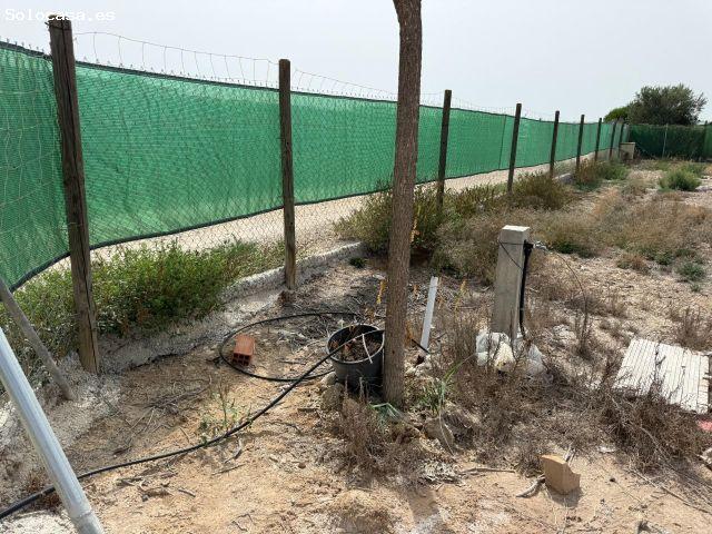 Terreno rústico en venta – La Hoya Elche, con proyecto básico y de ejecución de nave agrícola de a
