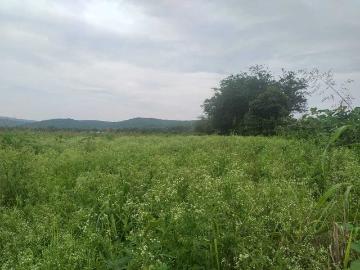 Terreno Rustico en Venta Miacatlán Mor