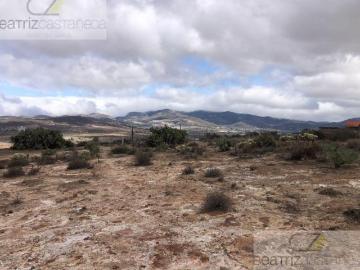 TERRENO RUSTICO EN VENTA, SAN AGUSTIN TLAXIACA, HGO