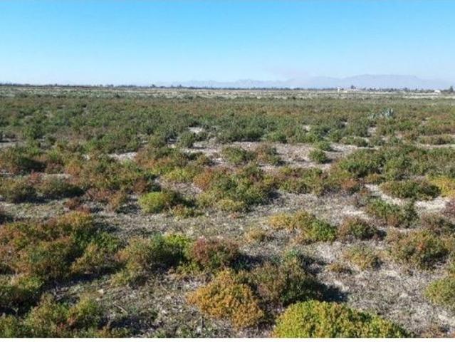 TERRENO RUSTICO EN ZONA DE CARRIZALES Y HUMEDALES