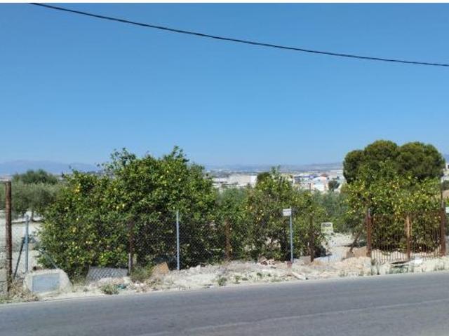 Terreno Rústico El Panderón, Molina de Segura