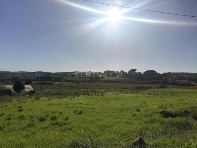 Terreno Rústico Excelente Vista Serra de Montejunto