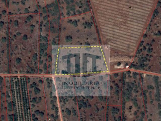 Terreno Rústico exelente para paineis solares ou explorações agriculas em Barrocal