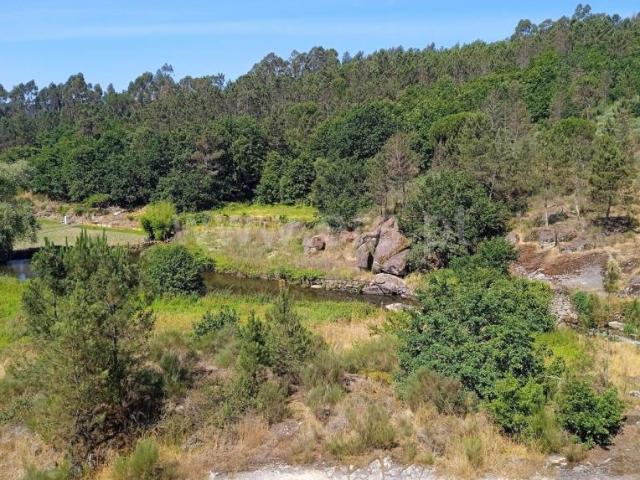 Terreno Rústico, Faíl e Vila Chã de Sá, Viseu | BPI Expresso Imobiliário