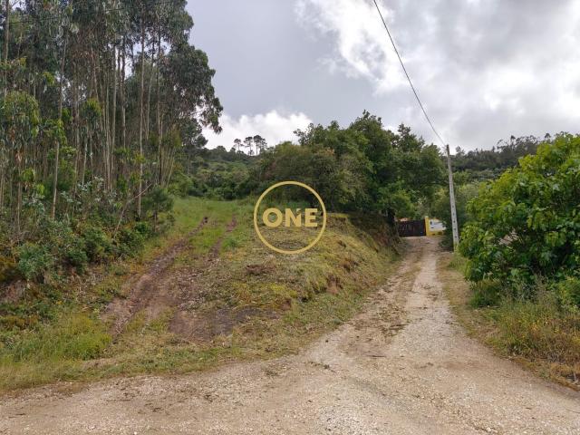 Terreno Rústico Florestal, no Gradil, concelho de Mafra