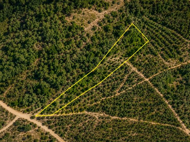 Terreno Rústico Florestal com 1.800 m² em Cepos – Olalhas, Tomar