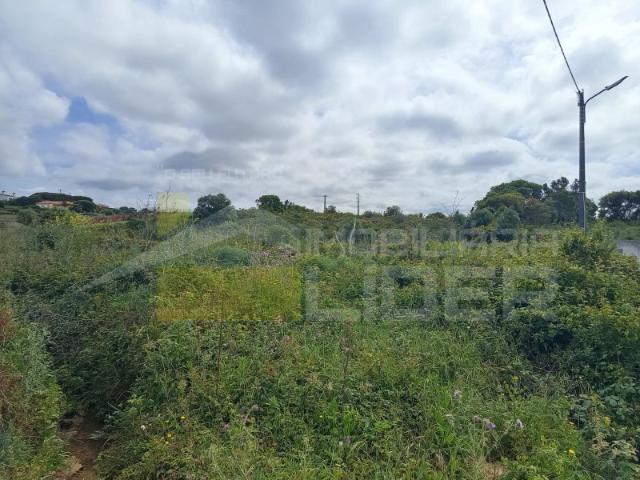 Terreno Rústico com 10.530m em Murtais Mafra