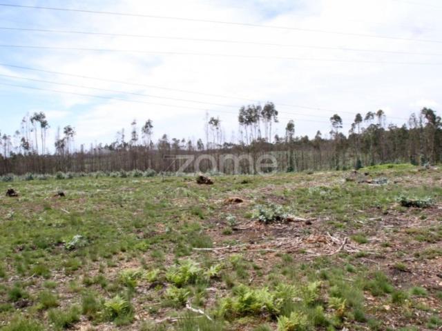 Terreno Rustico junto à A25