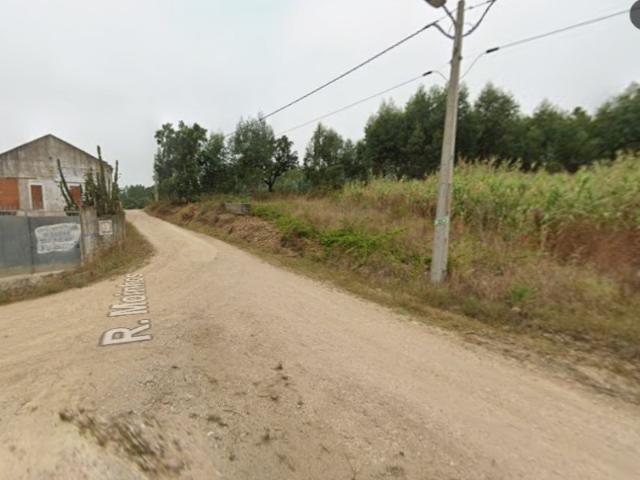 TERRENO RUSTICO OLALHAS TOMAR SANTAREM