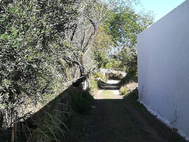 Terreno Rústico, Loulé São Clemente, Loulé | BPI Expresso Imobiliário
