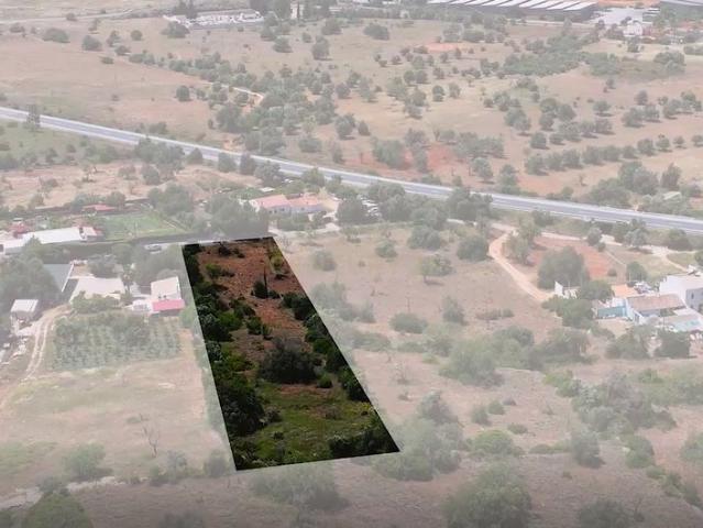 Terreno Rústico localizado em Gateiras Tunes, com uma área total de 4320m²