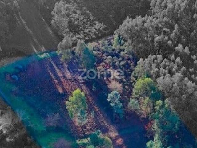 Terreno rústico localizado na Póvoa de Lanhoso